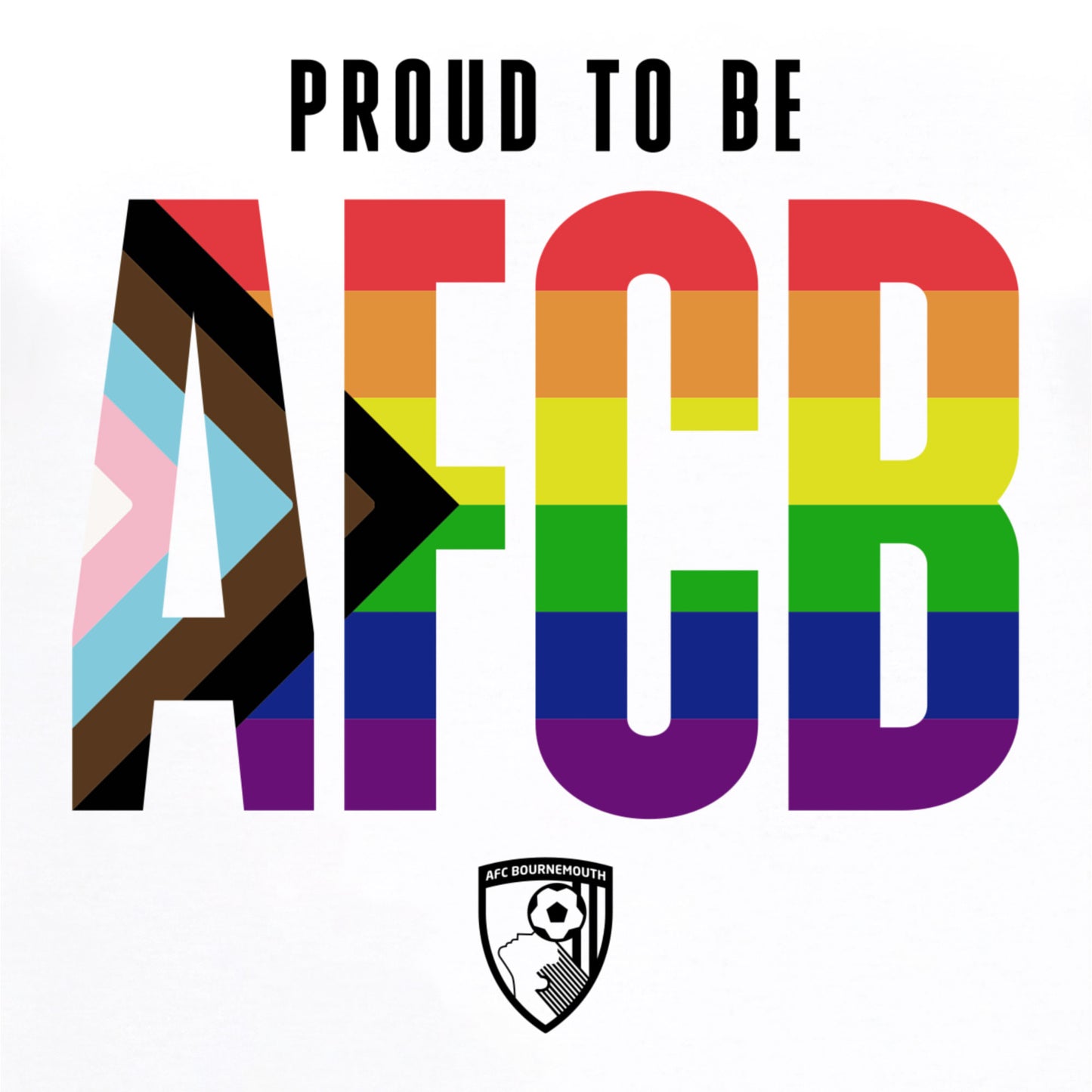 Adults Pride T Shirt - White