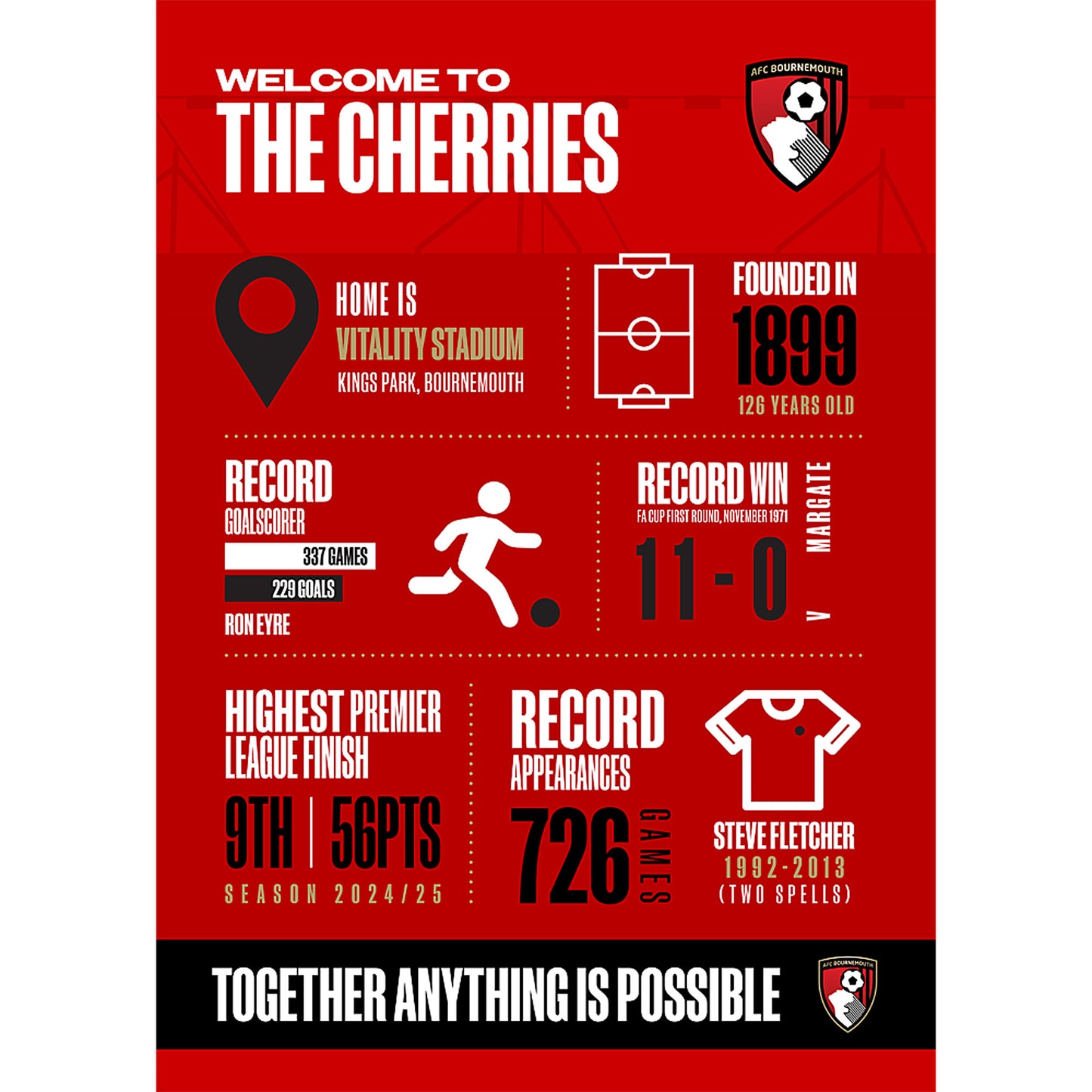 A2 Infographic Poster
