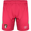 Adults Goalkeeper Shorts 23/24 - Pink