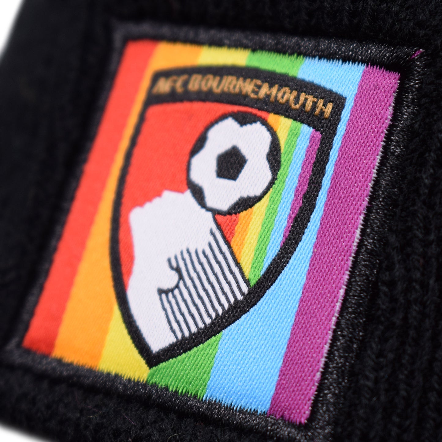Pride Beanie Hat
