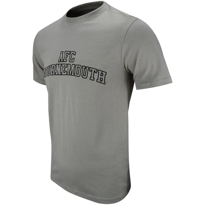Adults Collegiate T Shirt - Stone