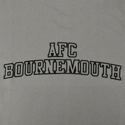 Adults Collegiate T Shirt - Stone