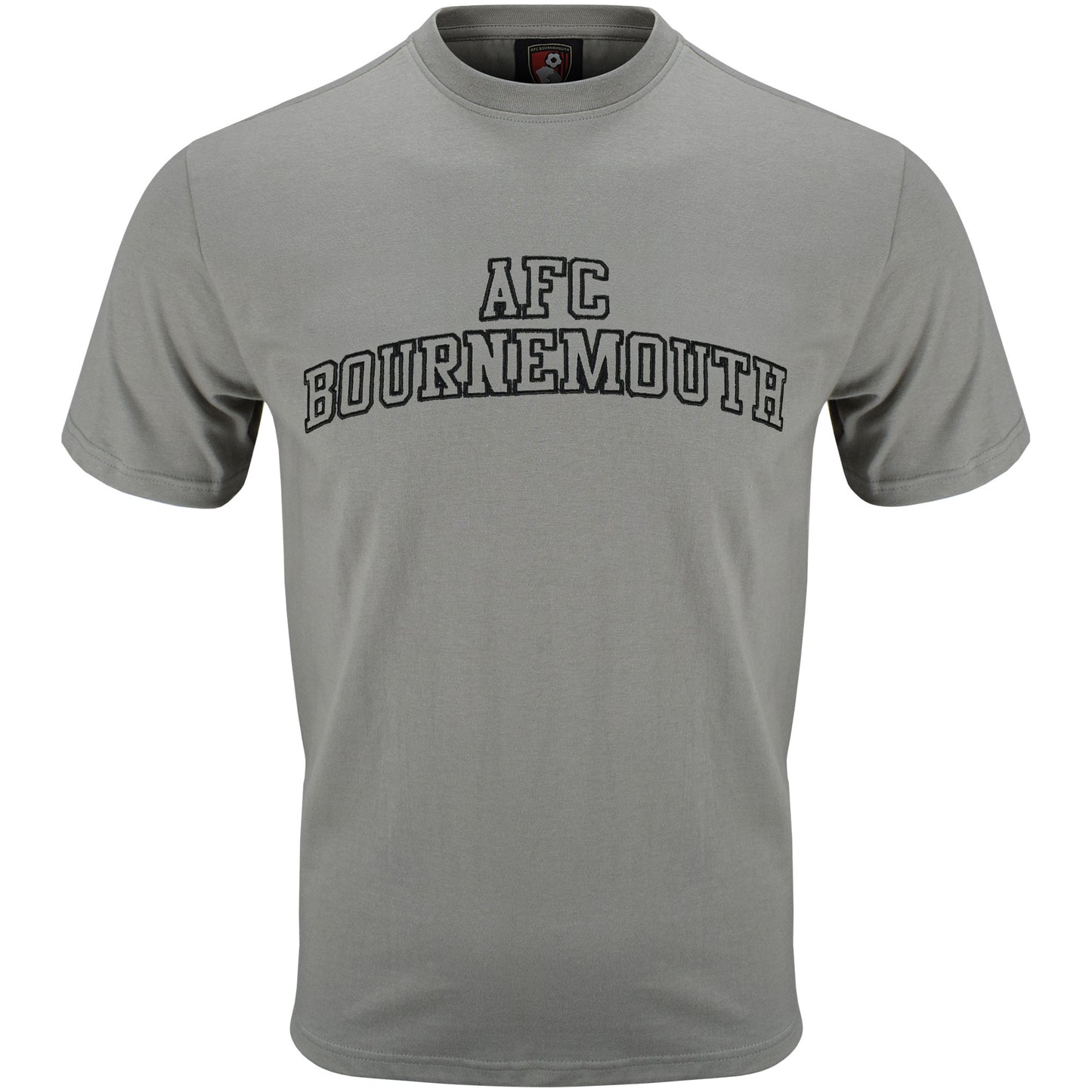 Adults Collegiate T Shirt - Stone