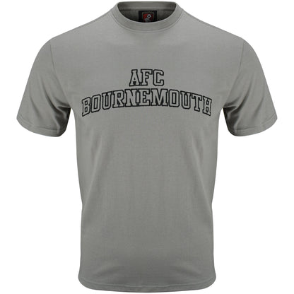 Adults Collegiate T Shirt - Stone