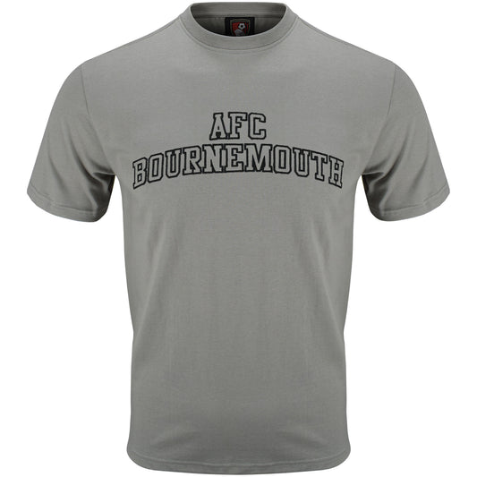 Adults Collegiate T Shirt - Stone