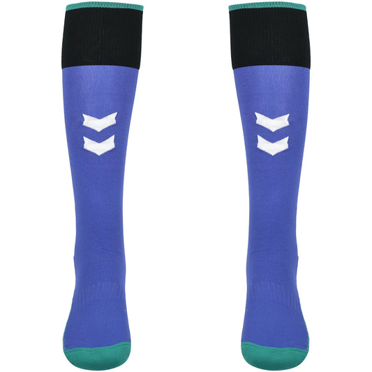 Childrens Home Goalkeeper Socks 26/27 - Purple / Green