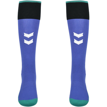 Adults Home Goalkeeper Socks 26/27 - Purple / Green