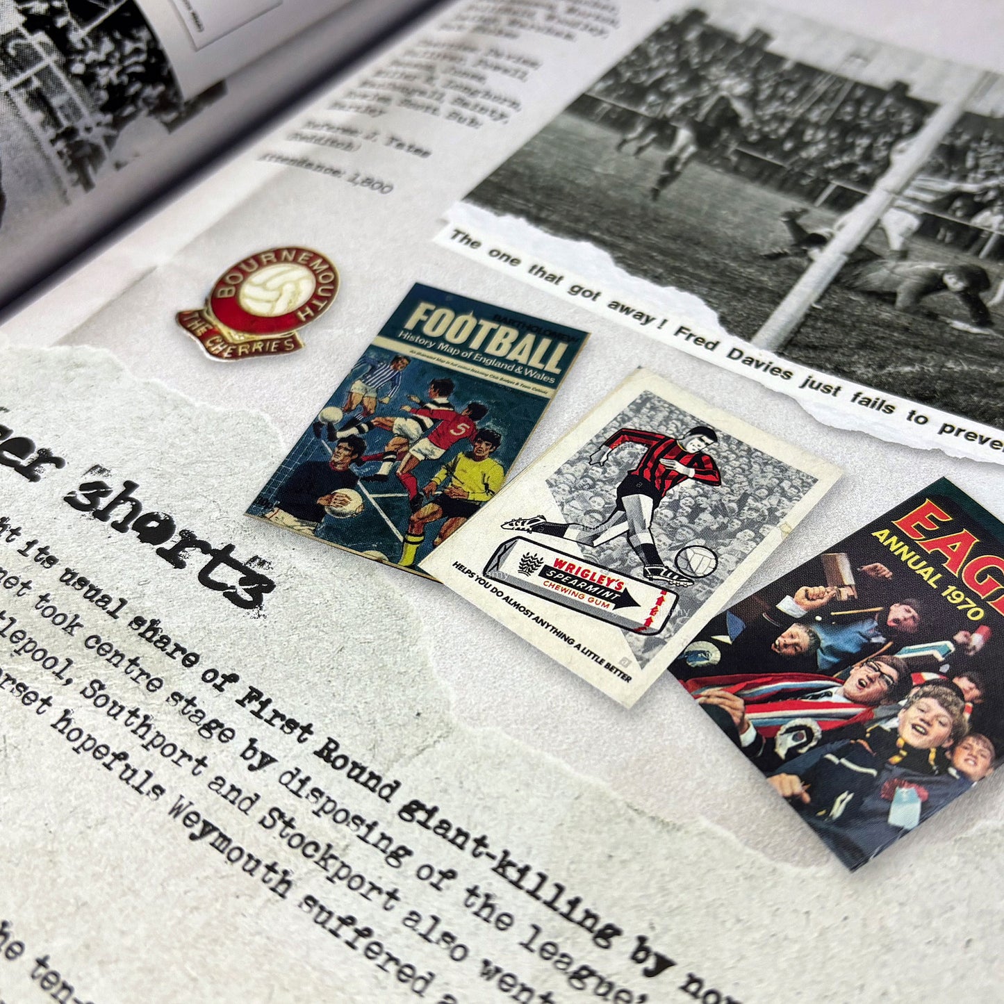 Goal Along With The Cherries Book