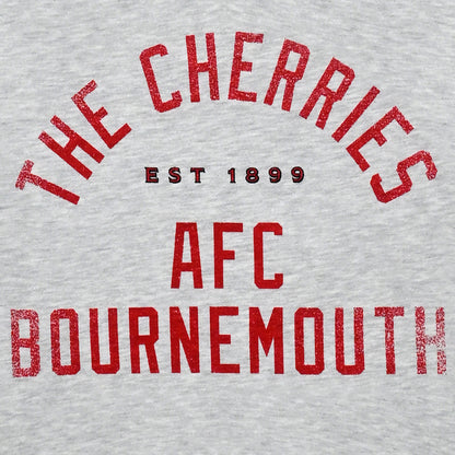 Peace Collective X AFCB Adults SuperHeavy Crewneck - Ash
