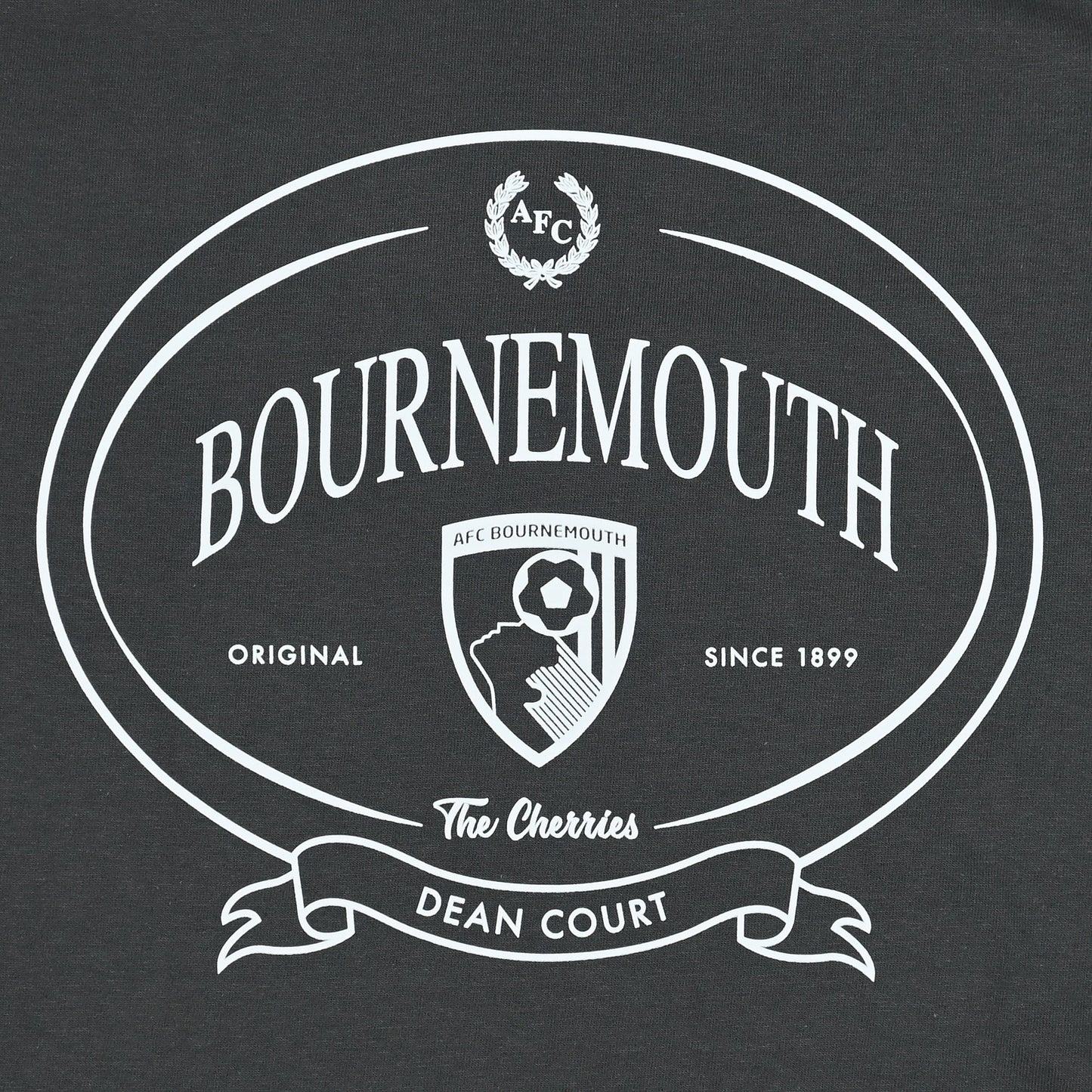 Adults Torrens T Shirt - Charcoal
