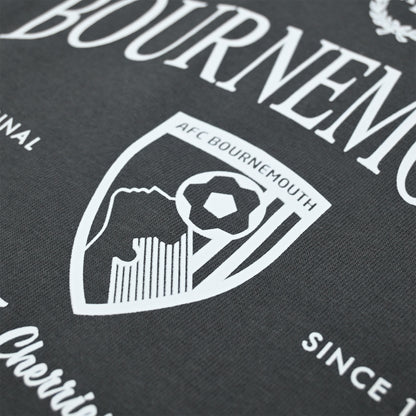 Adults Torrens T Shirt - Charcoal
