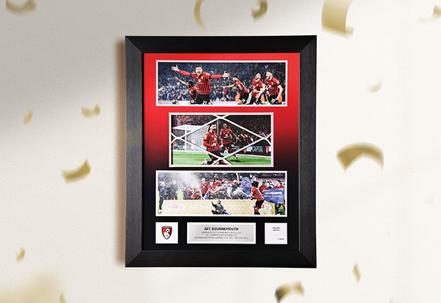AFC Bournemouth Limited Edition Framed Goal Net
