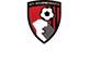 AFC Bournemouth Superstore