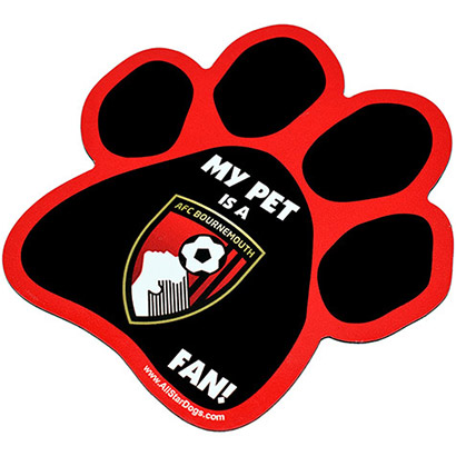Pet Car magnet