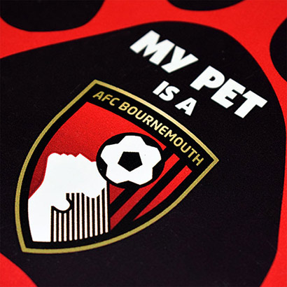 Pet Car magnet