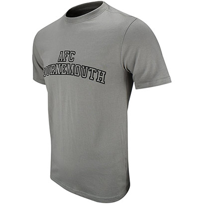 Adults Collegiate T Shirt - Stone