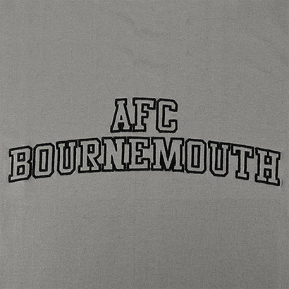 Adults Collegiate T Shirt - Stone