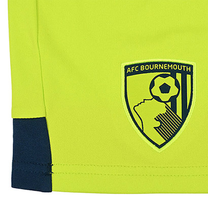 Adults Goalkeeper Shorts 25/26 - Acid Lime