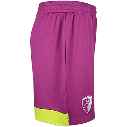 Adults Goalkeeper Shorts 25/26 - Wild Aster