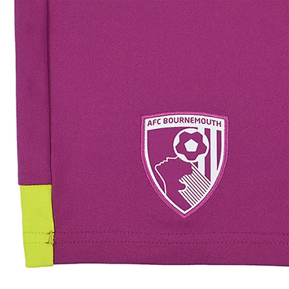 Adults Goalkeeper Shorts 25/26 - Wild Aster
