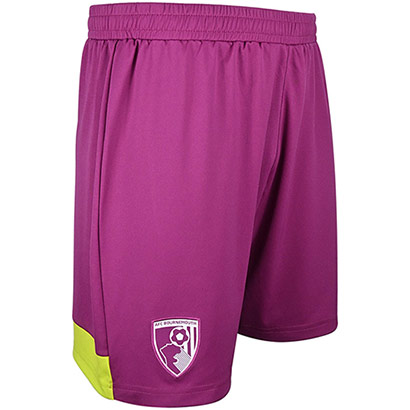 Childrens Goalkeeper Shorts 25/26 - Wild Aster