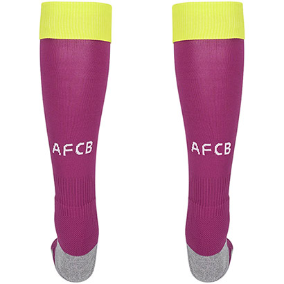 Childrens Goalkeeper Socks 25/26 - Wild Aster