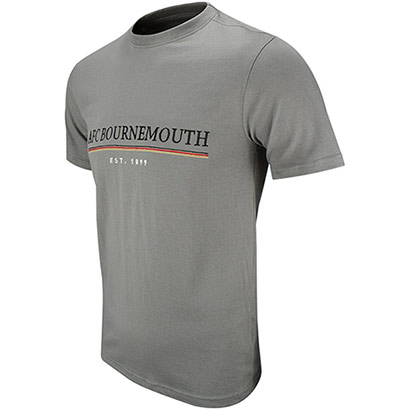 Adults Hannington T Shirt - Stone