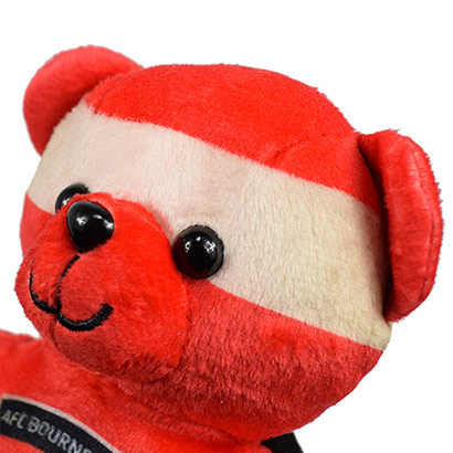 Super Hero Beanie Bear