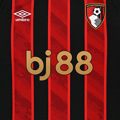 Womens Home Shirt 25/26 - Red / Black