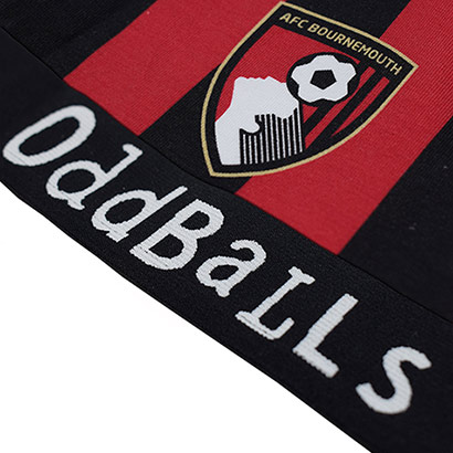 Womens OddBalls Bralette - Stripes