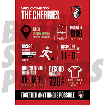 A2 Infographic Poster