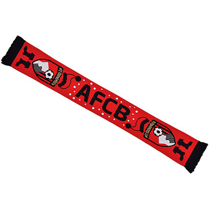 Childrens Christmas Scarf