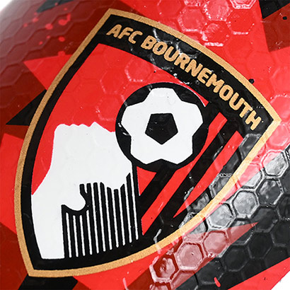 Infants / Youths Dynamo Shin Pads