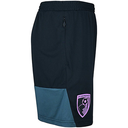 Mens 25/26 Training Shorts - Blueberry