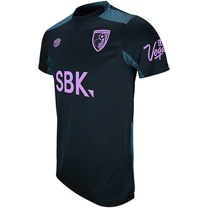 Mens 25/26 Training T Shirt - Blueberry