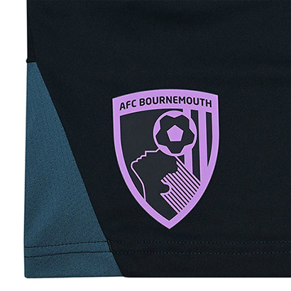 Womens 25/26 Training Shorts - Blueberry