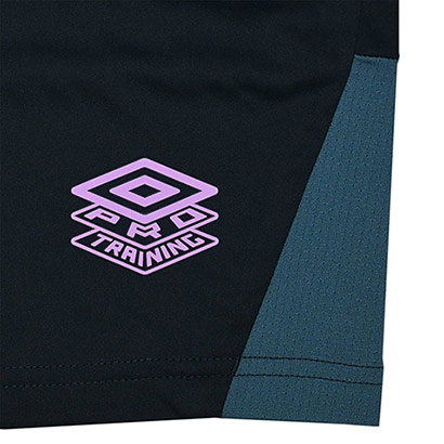 Womens 25/26 Training Shorts - Blueberry