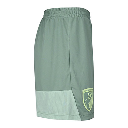 Womens 25/26 Training Shorts - Green Bay