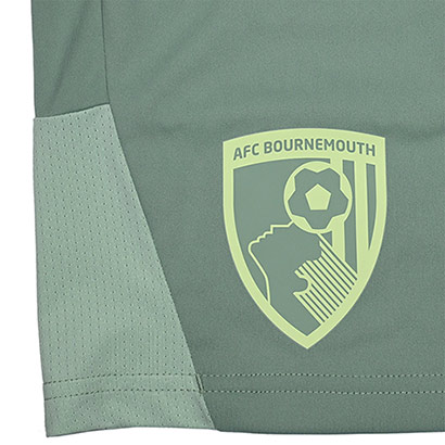 Womens 25/26 Training Shorts - Green Bay