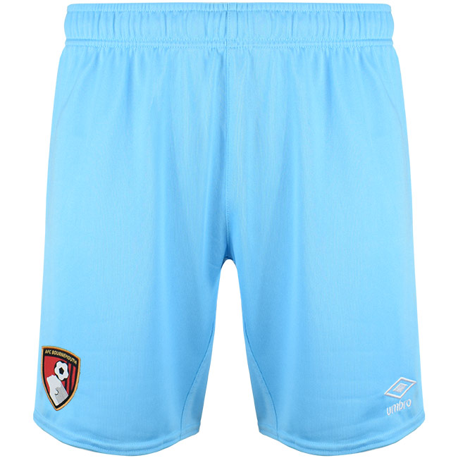 Mens Goalkeeper Shorts 24/25 - Aquarius Back View