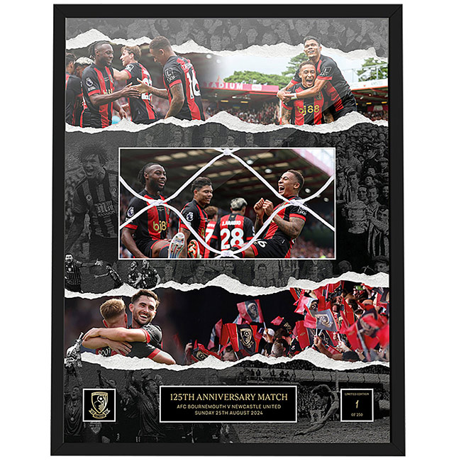 Limited Edition 125th Anniversary Framed Goal Net