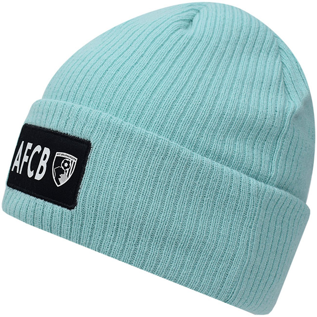 Womens Cuff Beanie - Blue