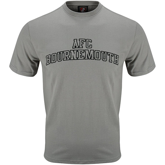Adults Collegiate T Shirt - Stone