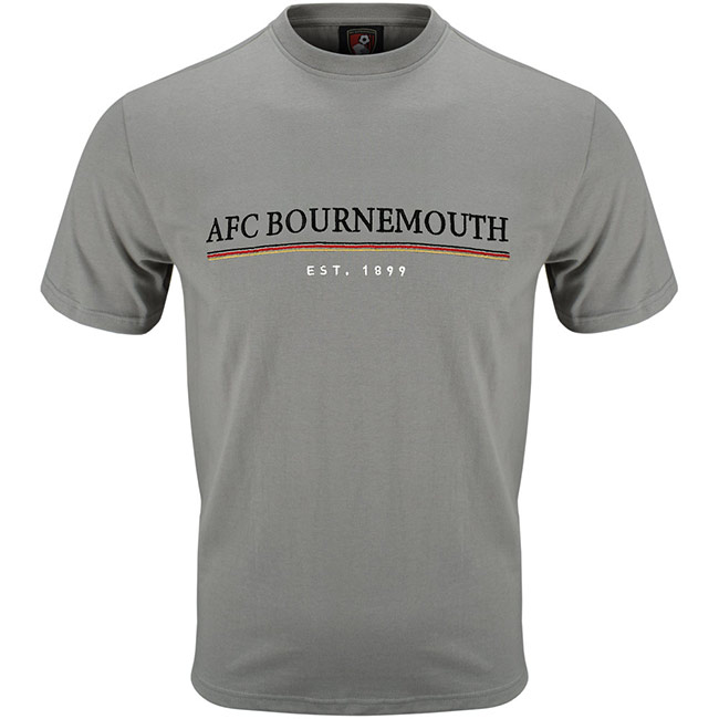 Adults Hannington T Shirt - Stone