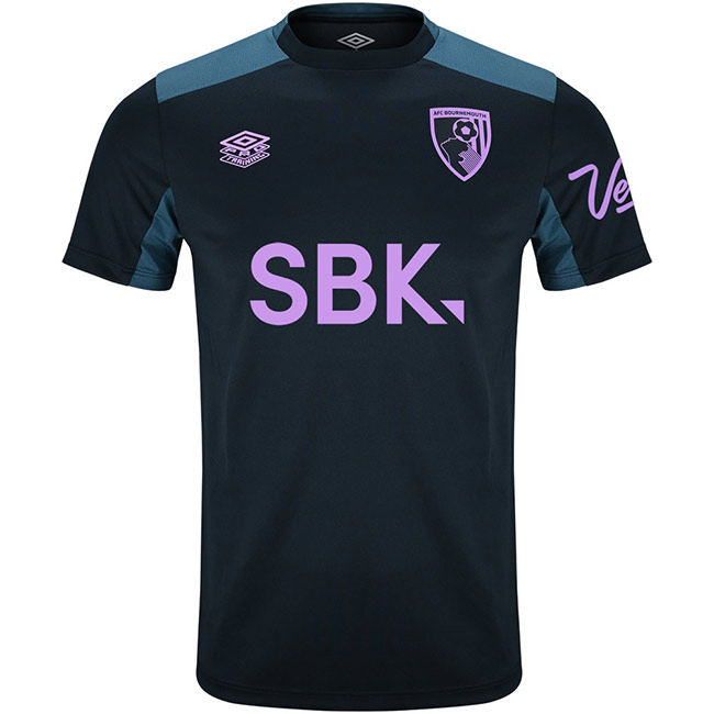 Mens 25/26 Training T Shirt - Blueberry