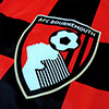 AFCB Flag