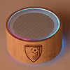 Bamboo LED Bluetooth Speaker