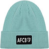 Womens Cuff Beanie - Blue