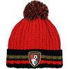 Adults Stripe Cuff Beanie - Red / Black