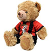 Plush Kit Teddy Bear